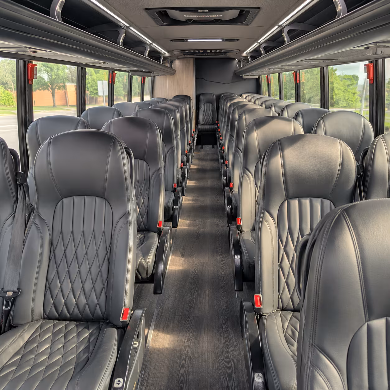 minibuses for smaller concert groups across hidalgo county